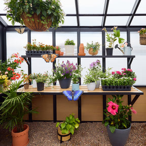 14x12 Larkspur Metal Greenhouse